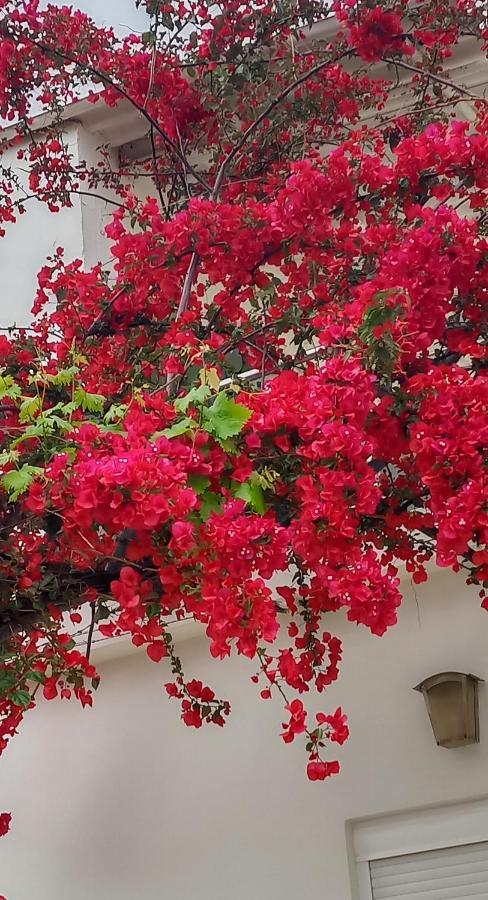 Stamatias Home, Fully Equipped Cottage 5 Minutes From The Sea La Canea Esterno foto